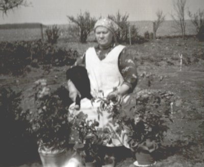 amat27.jpg